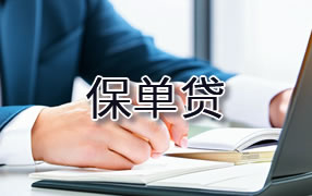 定西保单贷